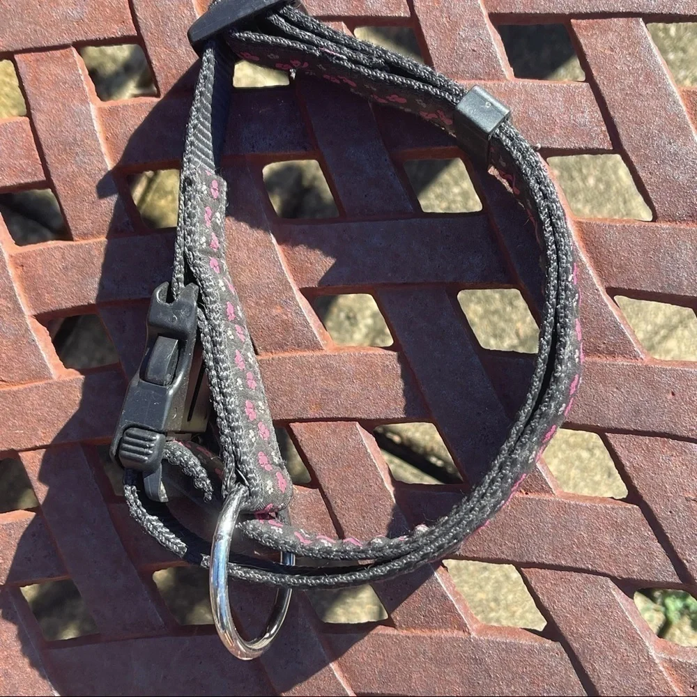 Dog It Collar & Leash Set Black With Pink & Gray Paw Prints, SilverTone…